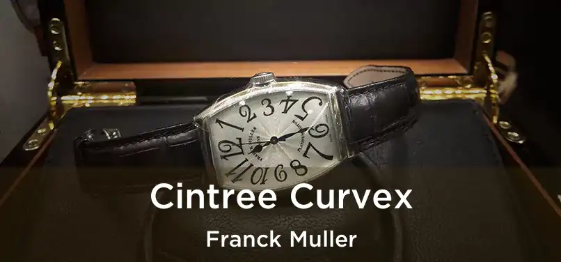  Cintree Curvex Franck Muller